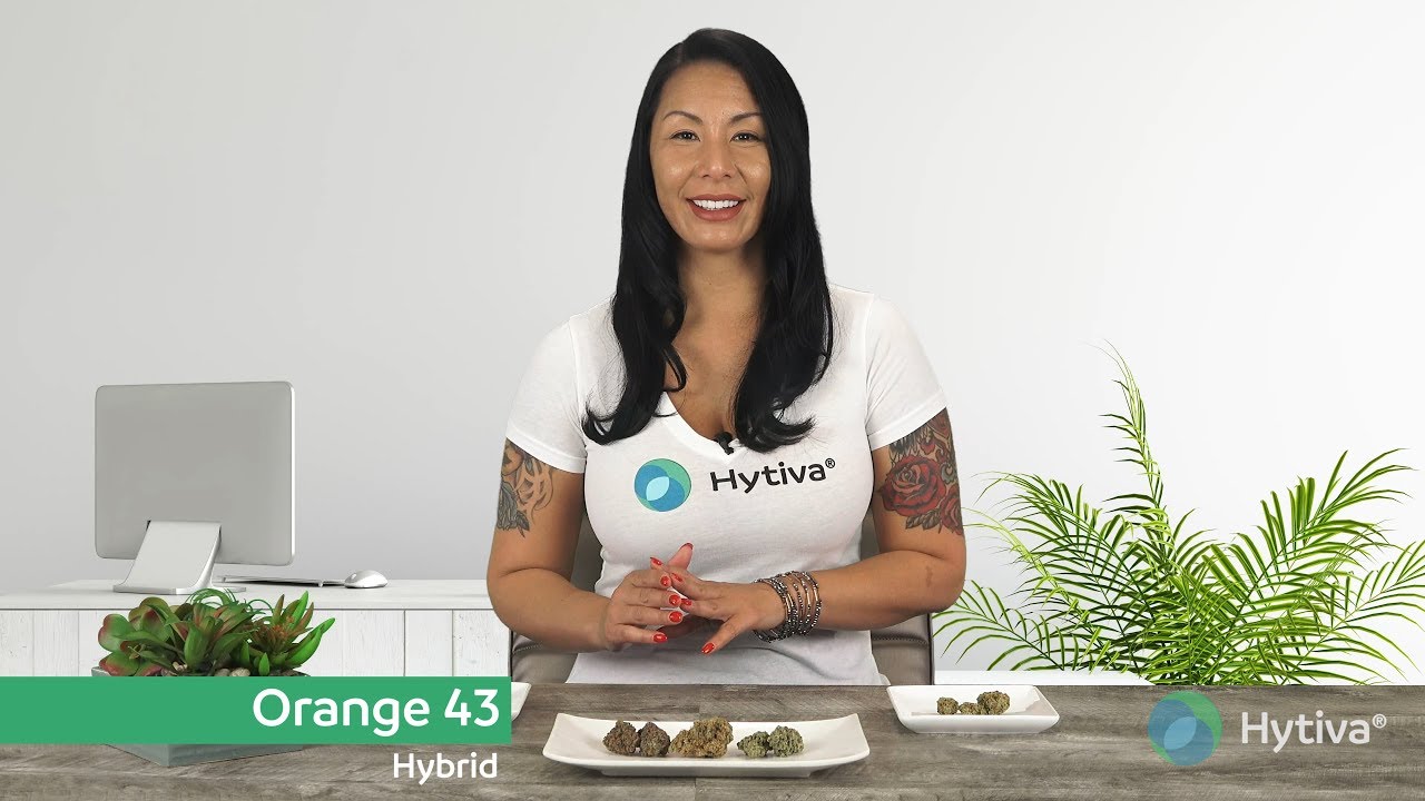 Strain Review: Orange 43