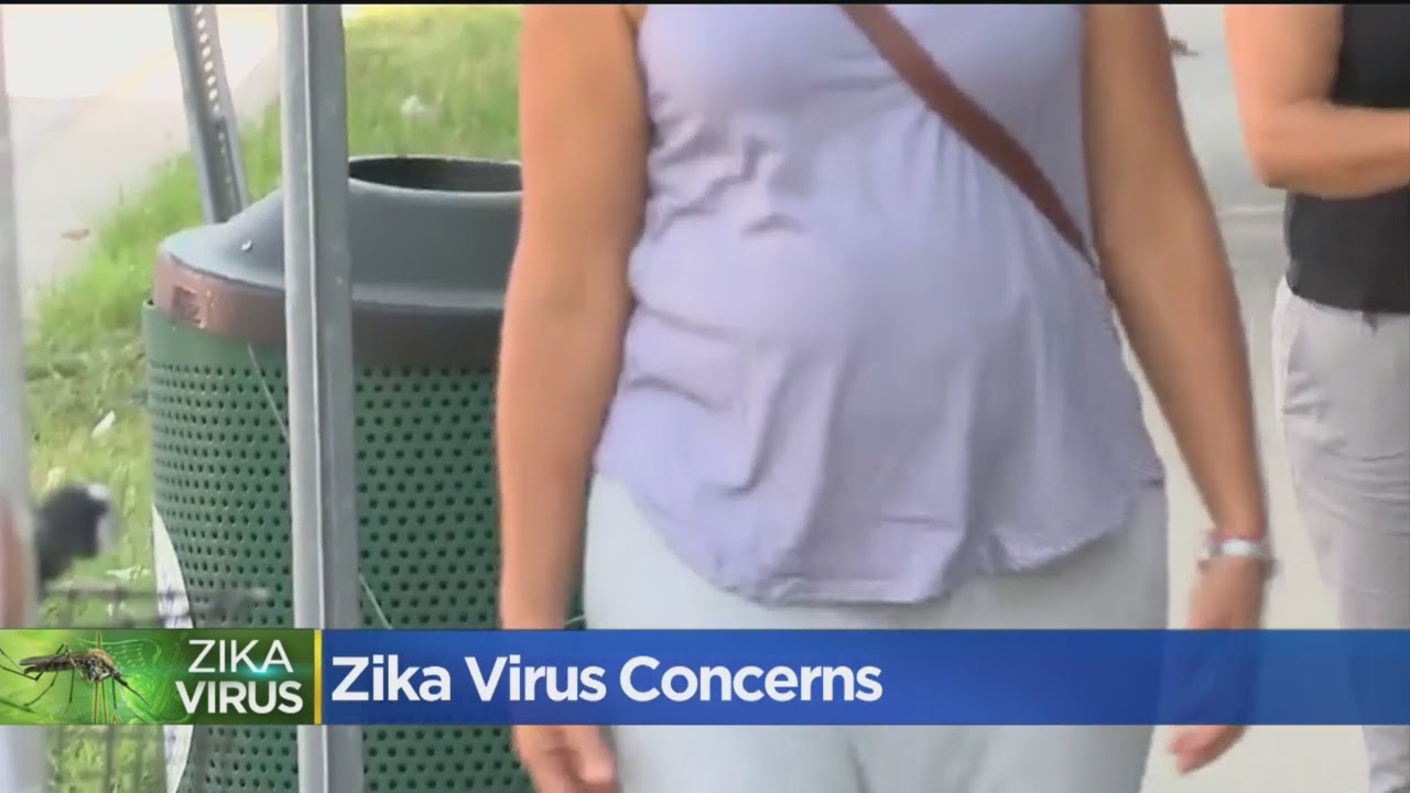CDC: Pregnant Women Should Not Travel To 'Zika Transmission Area'' In Florida