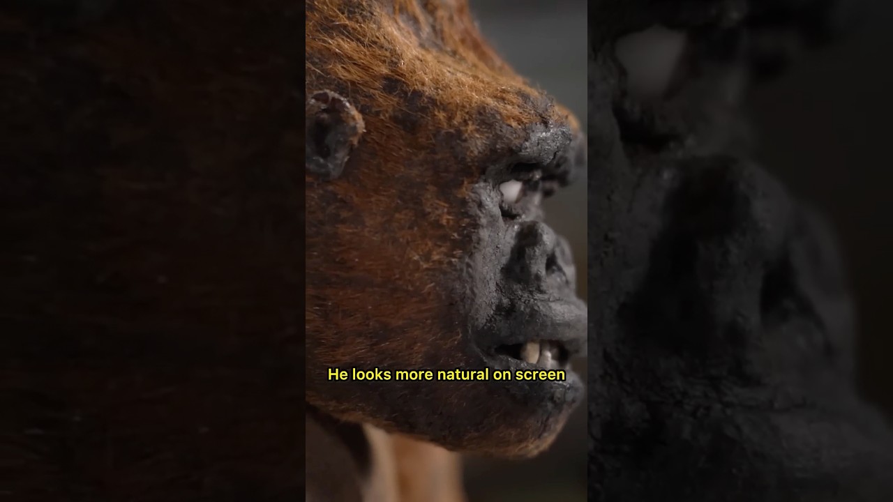 From Stop-Motion Relics to AI Chart Rules: Media & Communications Daily Recap