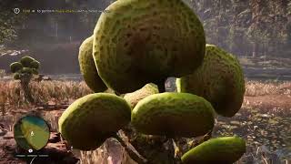FarCry Primal |Takkar Gets Green Leaves| Part 3