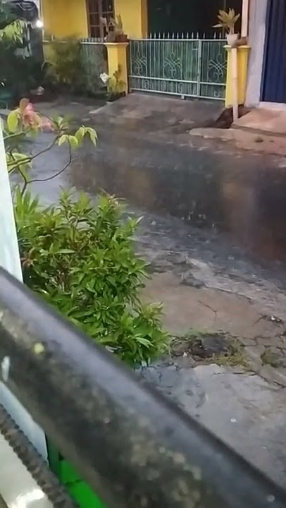 story wa hujan, Jumat 14 Januari 2022