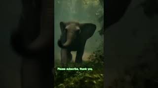 😂Tarzan and his wife are scared of an elephant while taking a picture 🎬@KXnoor #ai #fannyvideo ❤