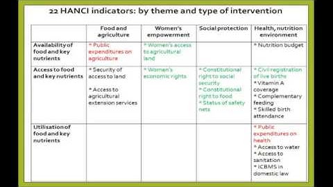 The Hunger and Nutrition Commitment Index  An introduction   YouTube clip11