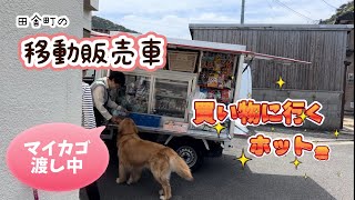 【移動販売車】これが島民のぬくもり優しく育つゴールデンレトリバーのホット君