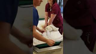 22112450_ChristinaCampbell_Skill#19