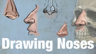 Drawing Noses - How to Draw Noses
