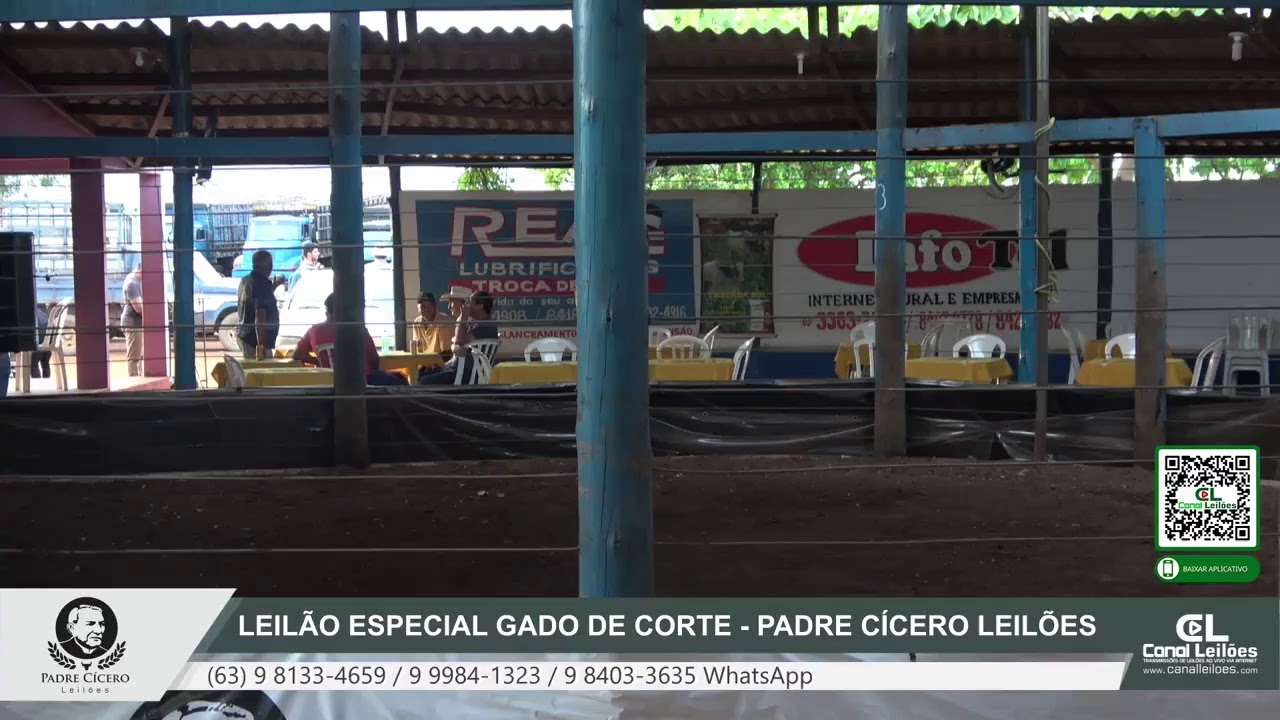 www.canalleiloes.com / LEILÃO ESPECIAL GADO DE CORTE - PADRE CÍCERO LEILÕES