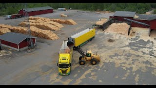 Wood chips loading - Scania wood chip truck