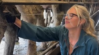 видео: Идиоты во всем мире | Идиоты недели | 100% дебилы 😂 | Постарайтесь не смеяться | ЧАСТЬ 36 #провалива картинка: Идиоты во всем мире | Идиоты недели | 100% дебилы 😂 | Постарайтесь не смеяться | ЧАСТЬ 36 #провалива