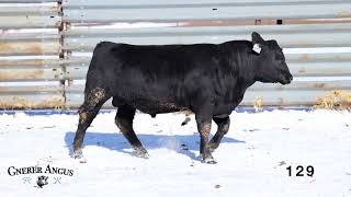 Gnerer Angus Lot 129
