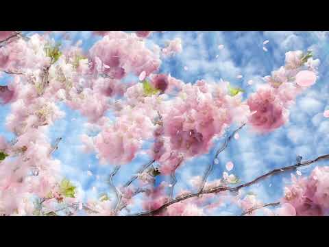 Robinson (Spitz Cover) | Echosonica feat. Harry Black