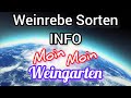 Weinrebe INFO zu Beschreibungen von Sorten.