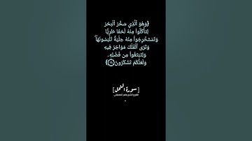 سورة النحل الآية ١٤ الى ١٦ بصوت الشيخ ماهر المعيقلي #القران_الكريم  #القران_الكريم_في_الصباح