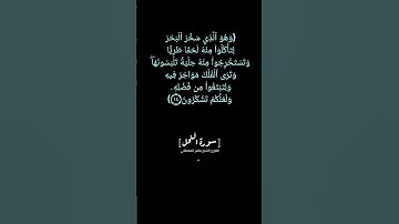 سورة النحل الآية ١٤ الى ١٦ بصوت الشيخ ماهر المعيقلي #القران_الكريم  #القران_الكريم_في_الصباح