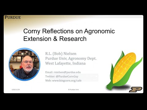 Corny Reflections on Agronomic Extension & Research