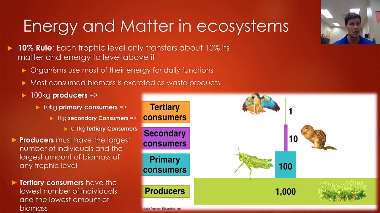 Chapter 4 Trophic Interactions