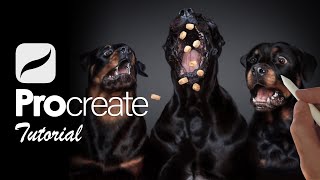How To Paint REALISTIC Dogs on iPad | PROCREATE TUTORIAL