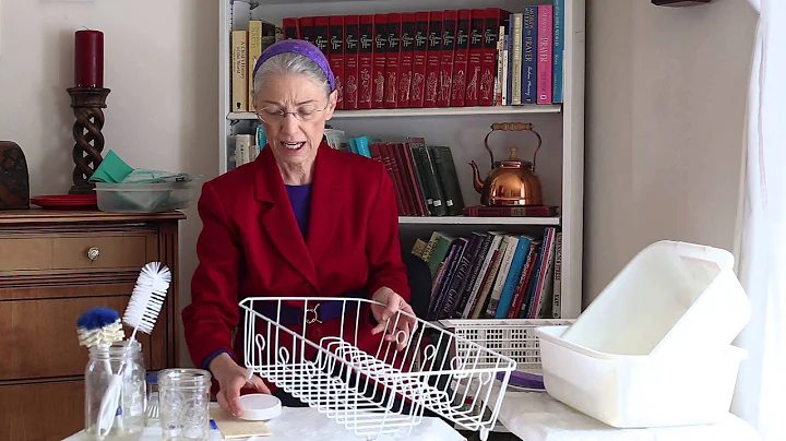 How to Wash Dishes Optimally  Renee Ellison