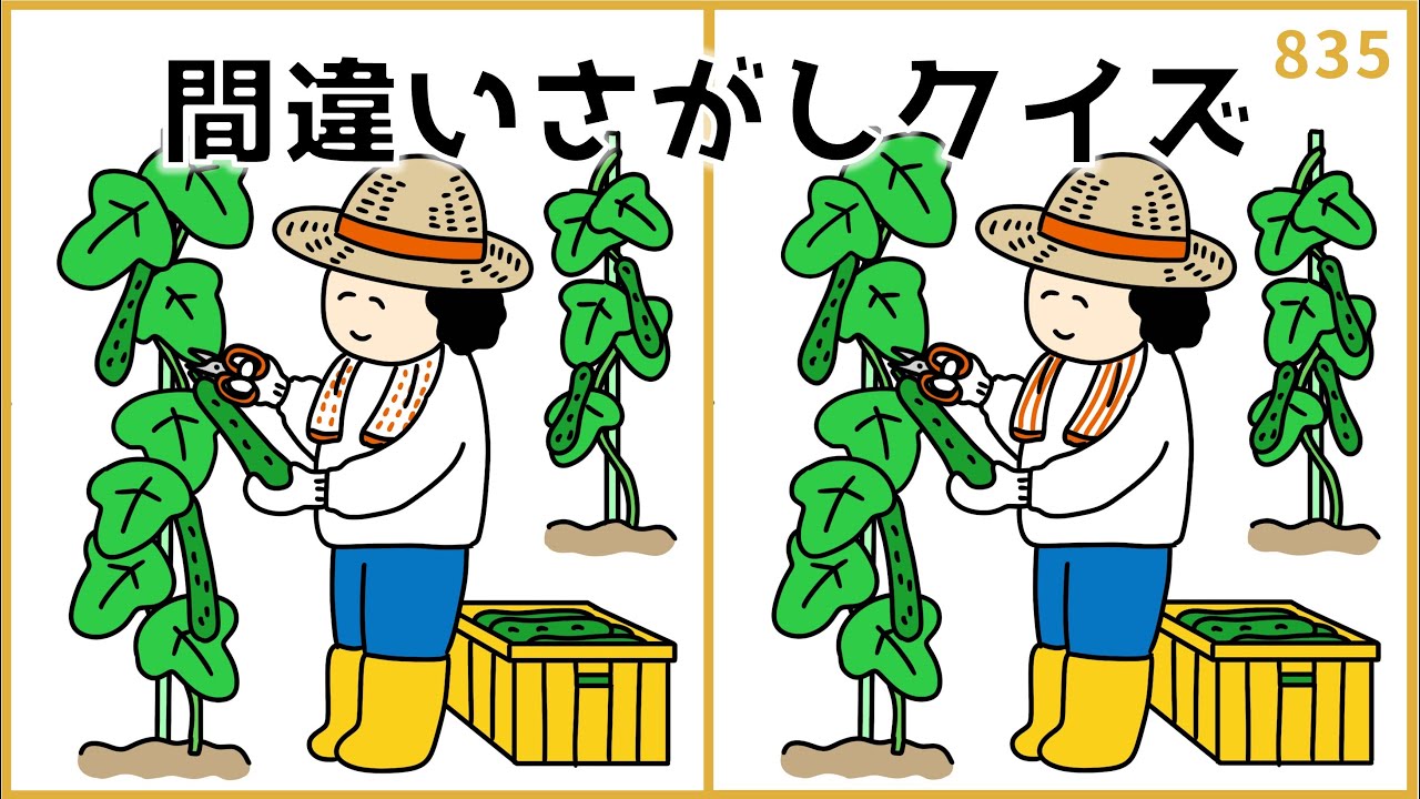 【間違い探しクイズ】夏を感じる脳トレゲーム！認知症予防動画【無料&簡単】#835