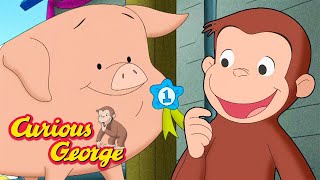 george trains a pig full episodes curious george