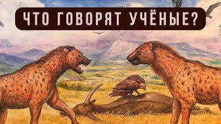 В Крыму жили слоны и носороги: находки в пещере 