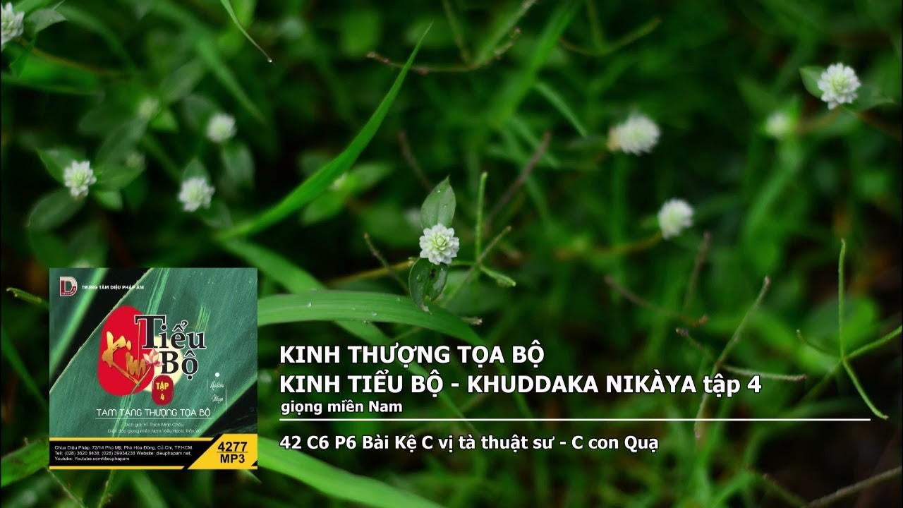 Tập 4 – 42 C6 P6 Bài Kệ C vị tà thuật sư – C con Quạ giọng miền Nam 