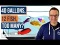 Overstocked or just right top 10 beginner saltwater fish  stocking tips  ep 31b