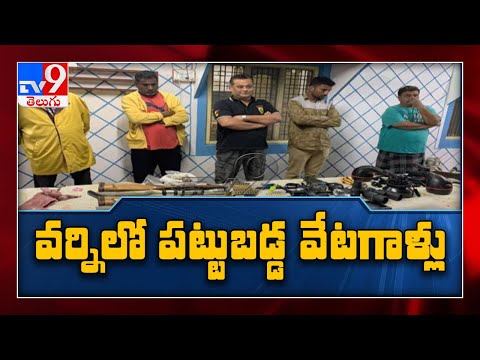 Five arrested for poaching in Nizamabad, rifles, silencers, other equipment seized - TV9