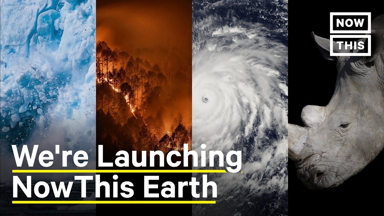 We're Launching NowThis Earth | NowThis Earth