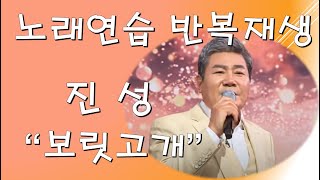 진성 - 보릿고개 [노래연습 반복재생]