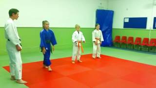 Mae Ukemi - Forward breakfall, Detailed Breakdown as of the BJA 6th Mon & 5h Kyu syllabus