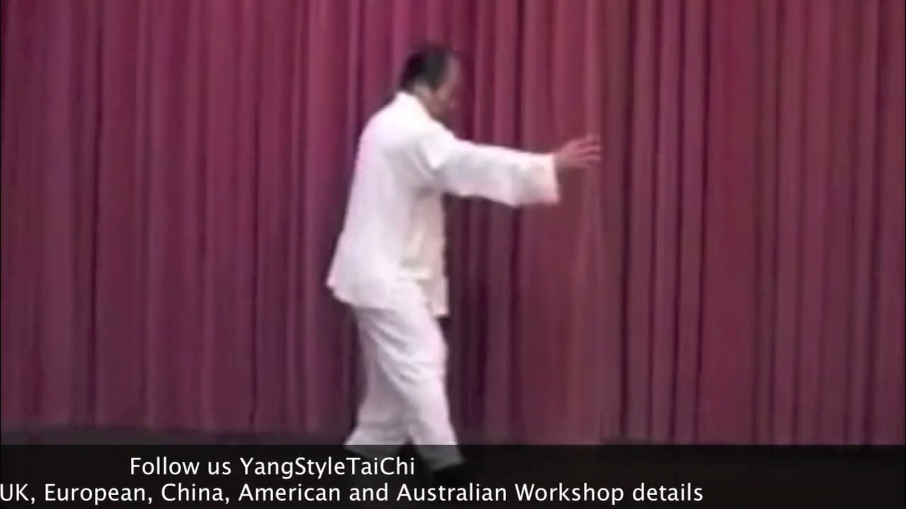 Fu Sheng Yuan - Yang Family Tai Chi 28 Form