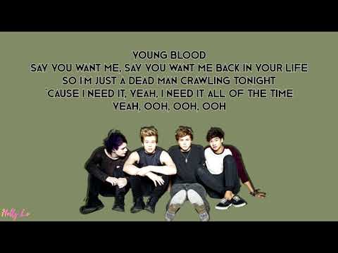 5 Seconds Of Summer - Youngblood (with LYRICS)