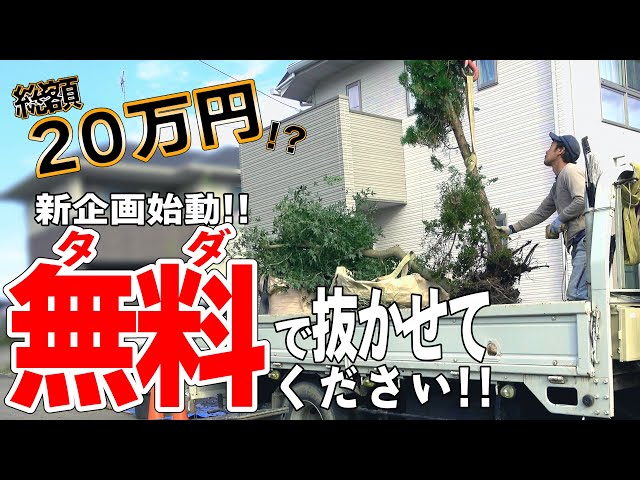 井戸掘削中に出てきた木です！ なにかに使えるかな！？ sddefault.jpg