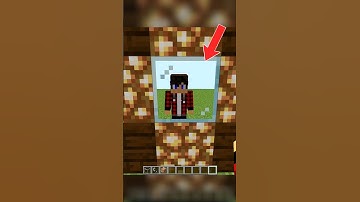 Mirror In Minecraft🪞