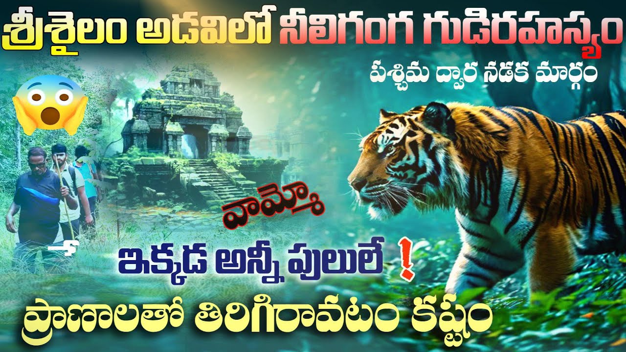 Neeliganga srisailam padayatra old route nallamala. రహస్యమైన నీలిగంగగుడిని శ్రీశైలంఅడవిలో కనుగొన్నాం