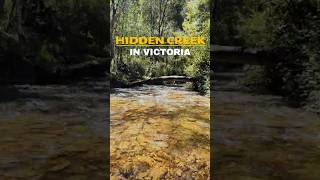 HIDDEN CREEK in Harrietteville VIC#Harrietteville #victoriaaustralia #hiddengems #exploreaustralia