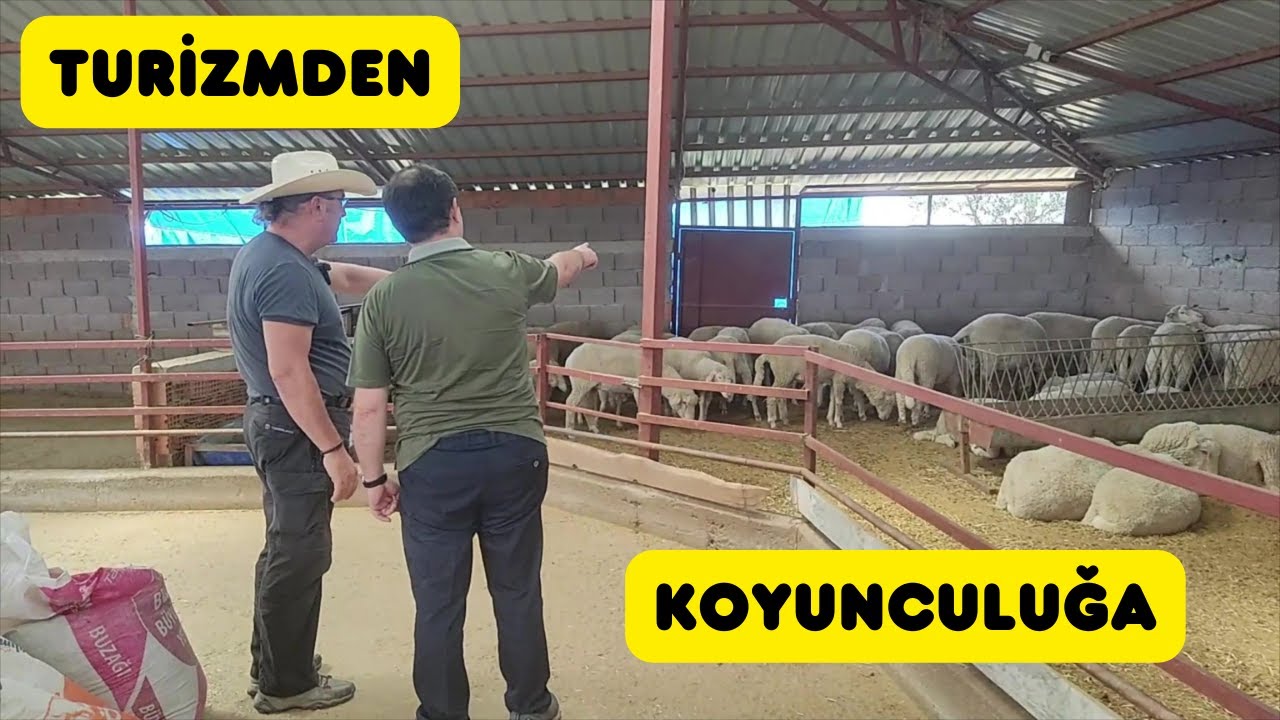 TURİZMDEN KOYUNCULUĞA GEÇİŞ (Zoru Başardı)