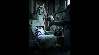 The Palace of Shadows… Celine's Curse and the Last Road of No Return #File-02