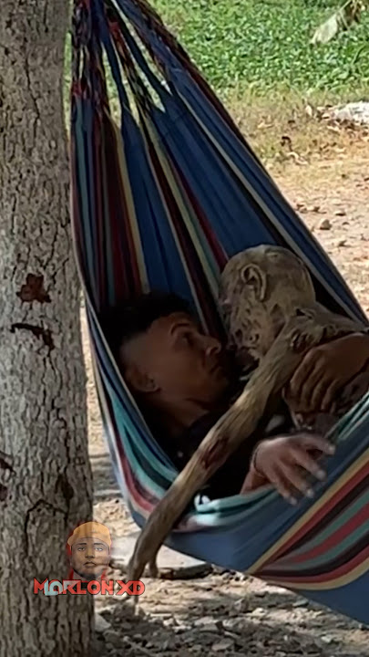 el 🧟 dormilon  part2 💤 #viral