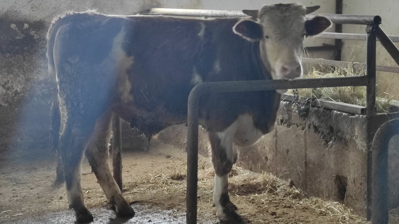 UNUTMAYIN,UNUTTURMAYIN ROTA YEM BELASINA BULAŞMAYIN....