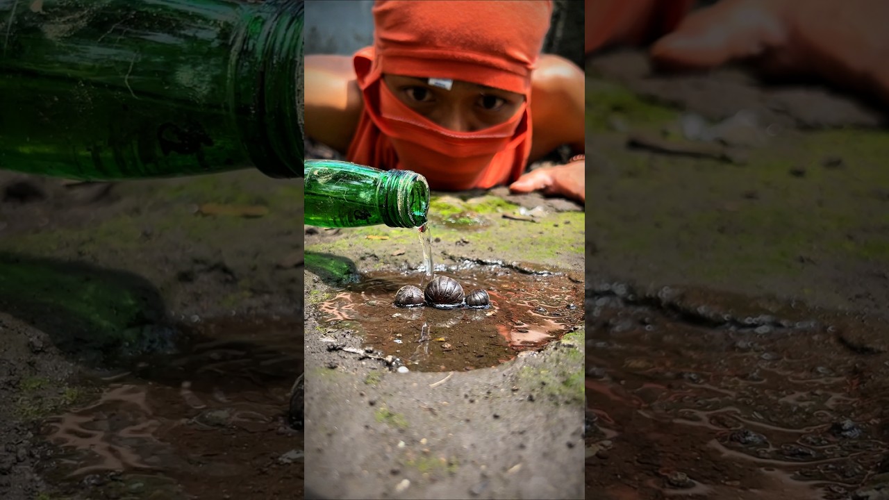 Tarzan Mask, Spa and Bathing a trio of cute pill millipedes 