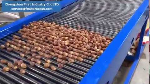 dates palm grading machine，dates sorting machine, dates grader
