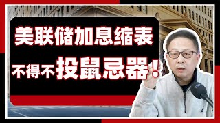 美11月议息会议: 反通胀的理想很丰满，金融不稳定的现实很骨感！