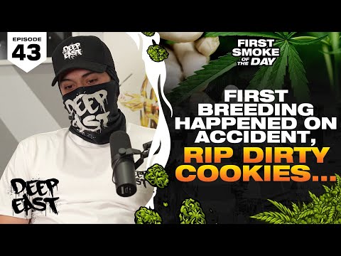 FIRST BREEDING HAPPENED ON ACCIDENT, RIP DIRTY COOKIES | DEEP EAST | FSOTD EP. 43