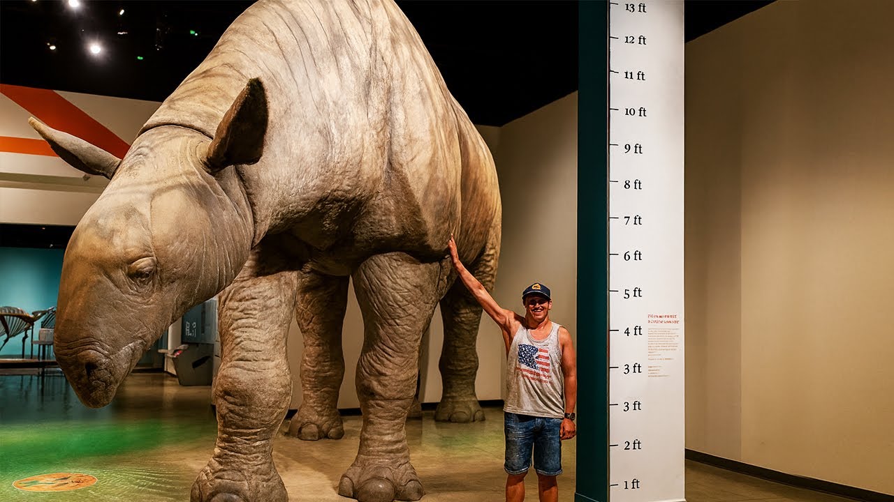 Los Herbívoros Prehistóricos Más Extraños Que Jamás Pusieron un Pie en la Tierra