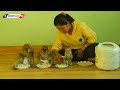 Family Monkey Kako | Tiny Baby Olly Eating Rice With Fried Egg First Time