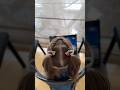 Hairstyle in 5 minutes #hairstyleforgirls #hairforbaby #прическадлядевочки #прическавшколу #зачіски
