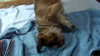 DSCF9619.AVI