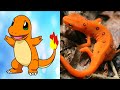 All Pokemon That Exist In Real Life